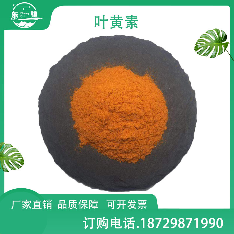 叶黄素 东驰供应  叶黄素原料 万寿菊提取物 大量现货