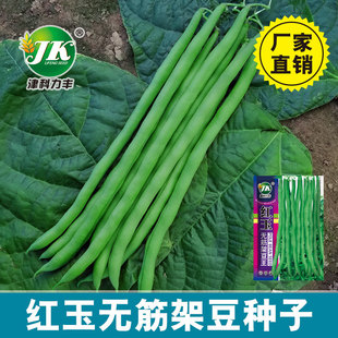 �t��o��̩���ܶ����N�Ӵ��＾�o�z�����ļ���ԭ�b50�����lܿ���N