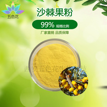 ɳ������99% ʳƷ�� ɳ��֭�� �½�ɳ������ ˮ��ȫ�� SC�S�ҬF؛