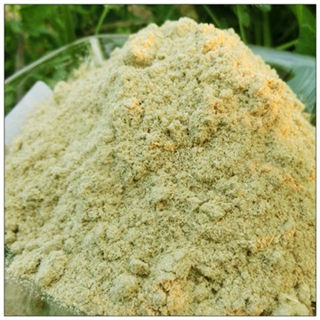 귀리풀 미세분말 500g
