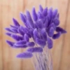 Deep purple