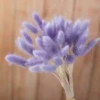 Shallow purple