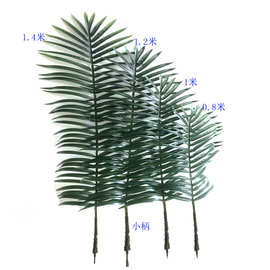 仿真椰子叶果树棕榈科植物园散尾叶博物馆盆栽椰子树假葵树叶销售