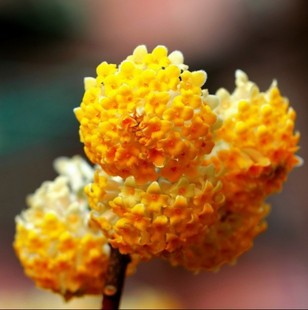 ���ܾGֲ���� ������ �Y������ͻ��� �S����ͥԺ�̨���԰��_��