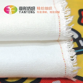 高密度全棉6安帆布51*40 箱包手袋加厚面料 漂白半漂内衬料批发