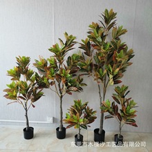 ���W ����׃ɫľ ���枢���� �҃���Gֲ���� ����Gֲ�辰���l