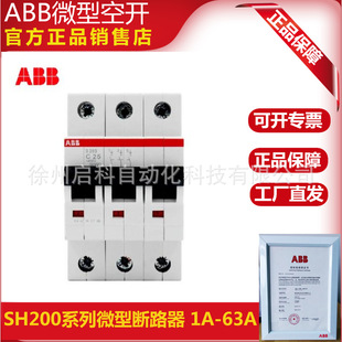 ABB��·��2P�՚��_�P SH202-C16 ؛̖10103990Ó������C΢�Ϳ��_