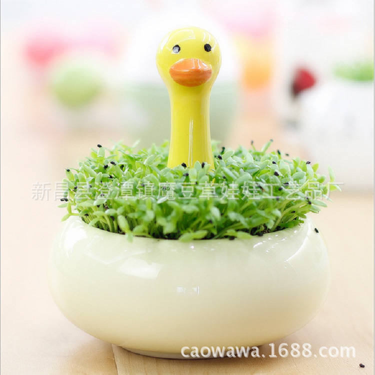 �����ػ�����ֲ����С���� ��ֲ �մɰڼ� ����ֲ��