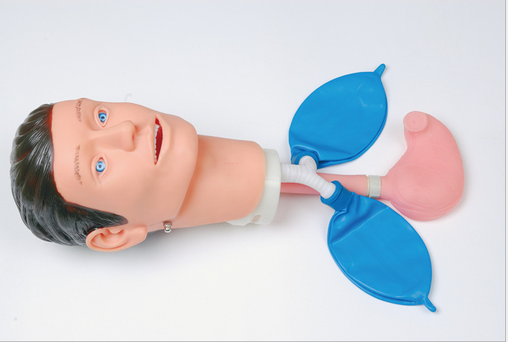 �๦�ܼ��Ȼ���ѵ��ģ����(��CPR380�����������ิ��ģ����