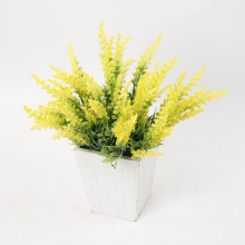 15�^С޹�²���ĭ�����滨�Wʽ�������_��˹�ٻ��S�����lPE޹�²�