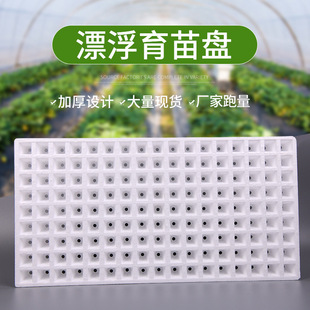 ˮ�ϷNֲ��ĭƯ������P Ѩ�P���Pˮ��P��ĭ���ɫ��ĭ����P