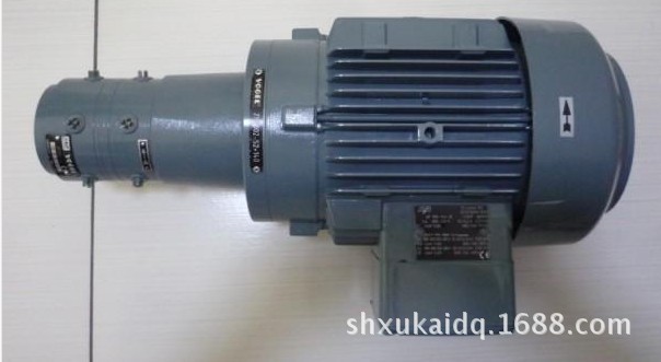 SKF油泵电机组ZM2202+100  ZM2202+1GD