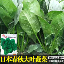 ˷NӲW^˷N˷N߲˷Nl˷NѷNӹ˾