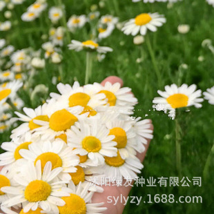 ��˾���l�������޸���ʾջ��N�Ӳ�ո�Ұ���ݲ�С�r�ջ��N��