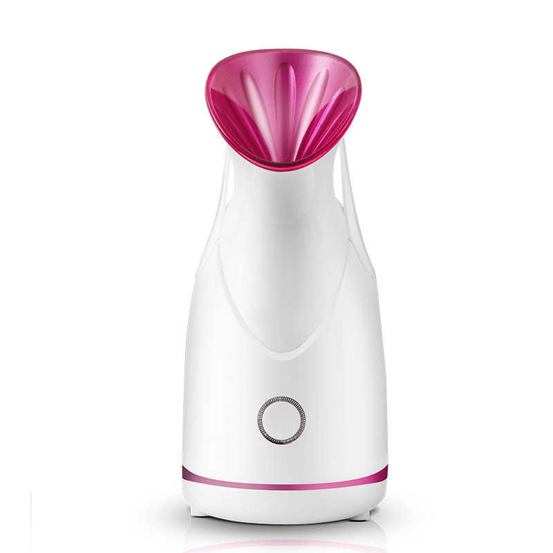 Instrumento de vapor facial transfronterizo vapor caliente Nano spray caliente hidratante instrumento de belleza para el hogar Dispositivo de vapor facial de frutas y verduras image 6