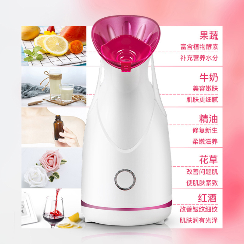 Instrumento de vapor facial transfronterizo vapor caliente Nano spray caliente hidratante instrumento de belleza para el hogar Dispositivo de vapor facial de frutas y verduras image 3