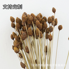 【松球花】ゼカ手作りdiyドリップドライフラワーアフリカ松果花ミニドライフラワーブーケ写真撮影道具