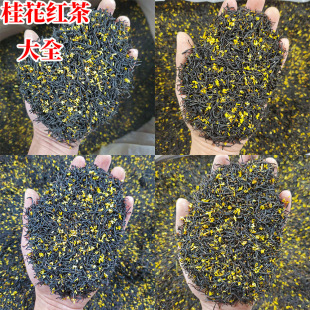 2025�¹𻨾����t÷���躼������ԭ�a�ؼt�����������������t