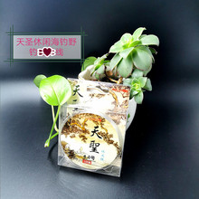 ������~�������Ӿ�100��̨ើ�͸����ĥ������������