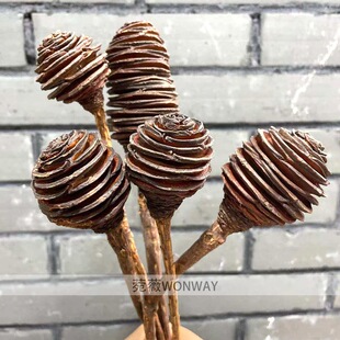 ������ �M�ڸɻ���Ȼ�ɻ��滨�Ҿӿ͏d�b͹Ų廨�[��