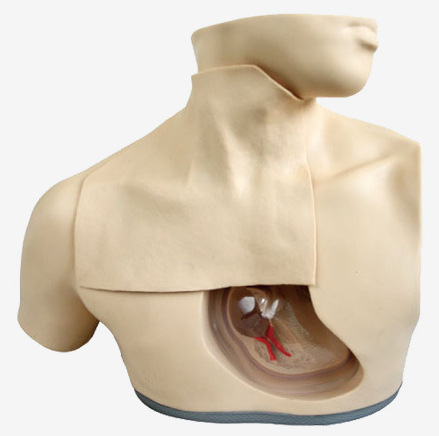 ����Ӫ������ģ��ҽѧ��ѧ��ѵģ�� ����ģ��