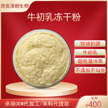 牛初乳粉 牛初乳冻干粉原料 牛初乳免疫球蛋白IgG20%IGG30%食品级