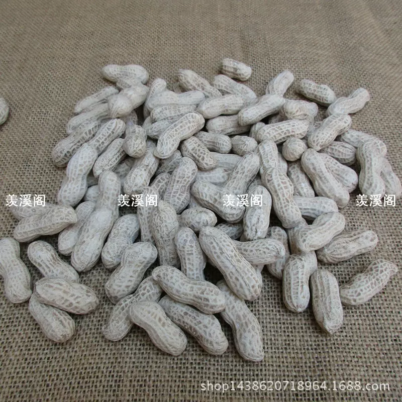 Purple sand bionic small peanut section mud peanut Yixing purple sand tea pet sculpture ornaments tea play decoration home decoration