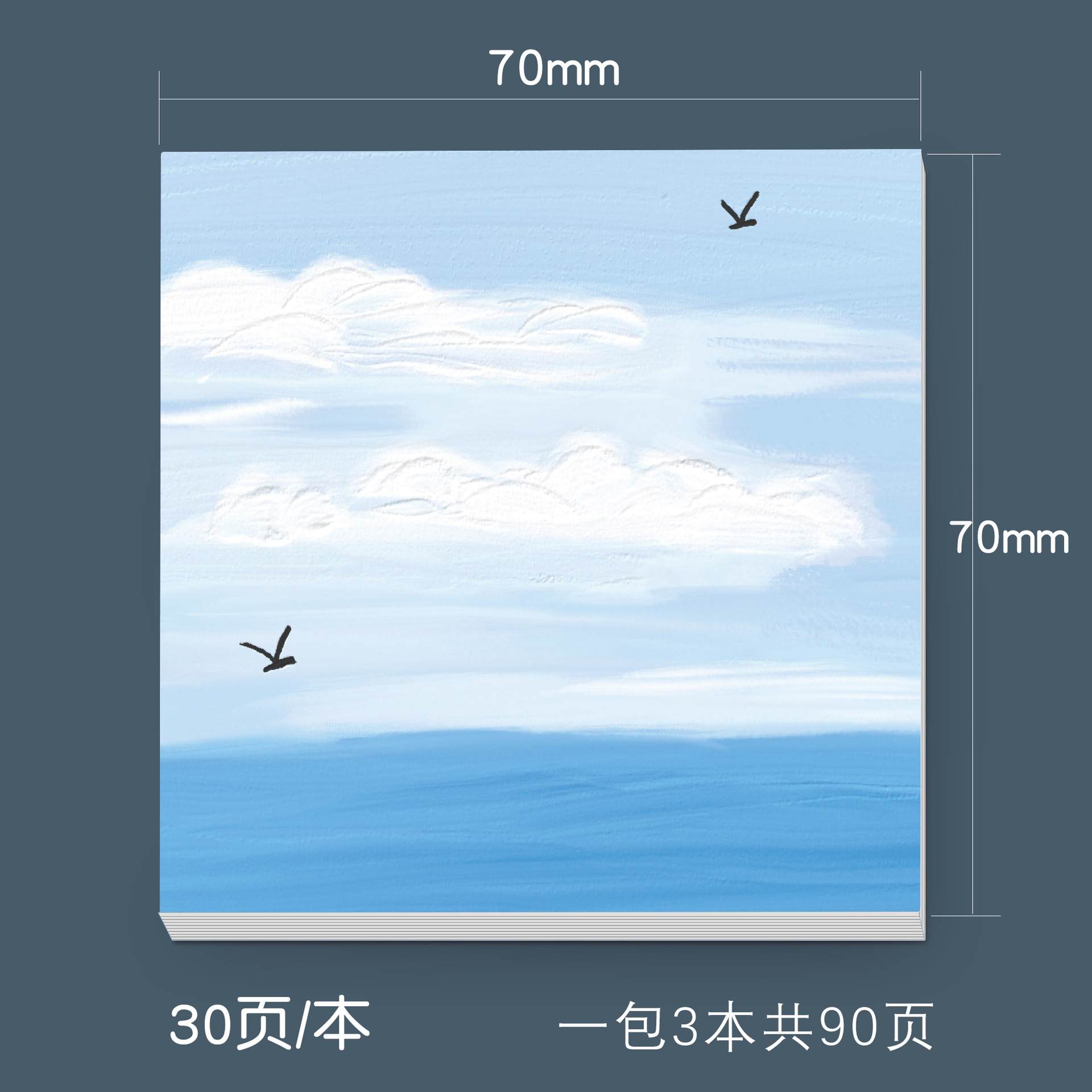 SR2009-17 바다에 날아다니는 갈매기