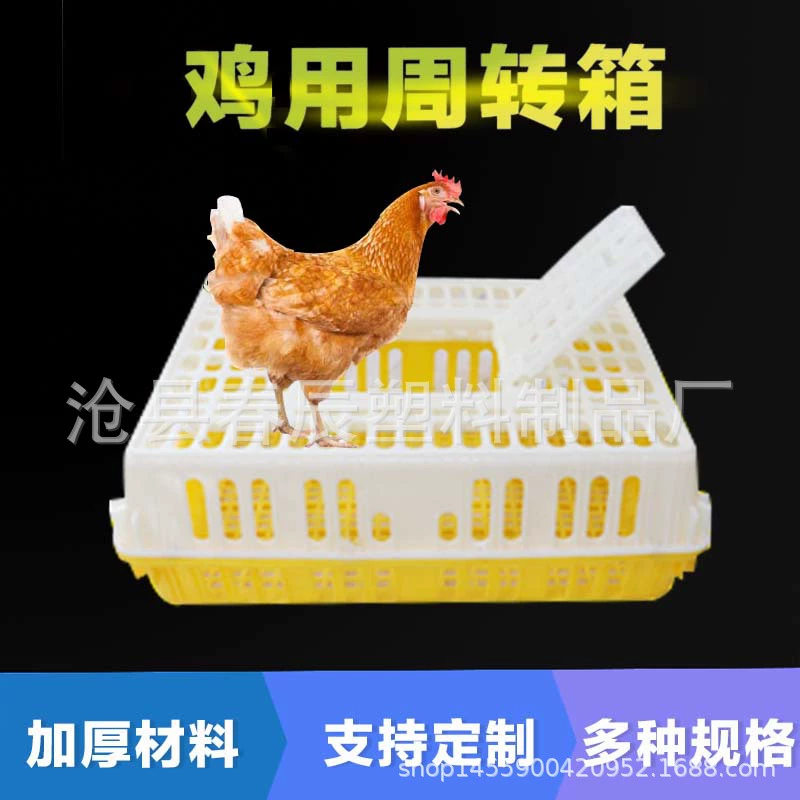 Льготные поставки куриная клетка пластиковая коробка оборачиваемости Пластиковая транспортная куриная клетка пластиковая куриная рамка Транспортная коробка оборачиваемости курица