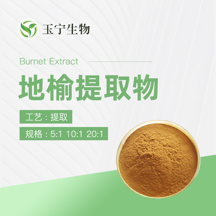 地榆提取物 地榆皂甙 10：1 地榆皂苷