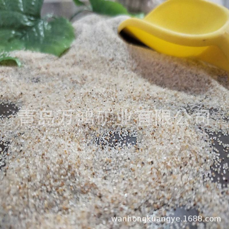 30-60目儿童娱乐沙 莱西小区沙池海沙 干净无尘白沙 填充造景细沙