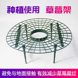 草莓架 阳台盆栽种菜架 果实支撑植物爬藤支柱园艺支架