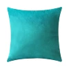 BZ0T52 (lake blue)