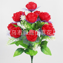 ���滨�ٻ�12��õ�廨���b�Y���ϻ����ý����[�����������l