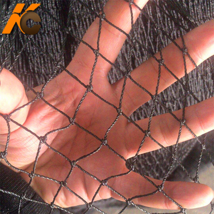 优质尼龙透明谷子水稻防鸟网/ 聚乙烯方防麻雀网  池塘防护网