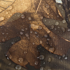 Camouflage hiking boot covers for outdoor climbing, camping, leg protection, anti-scratch, camouflage tent, moisture-proof protection