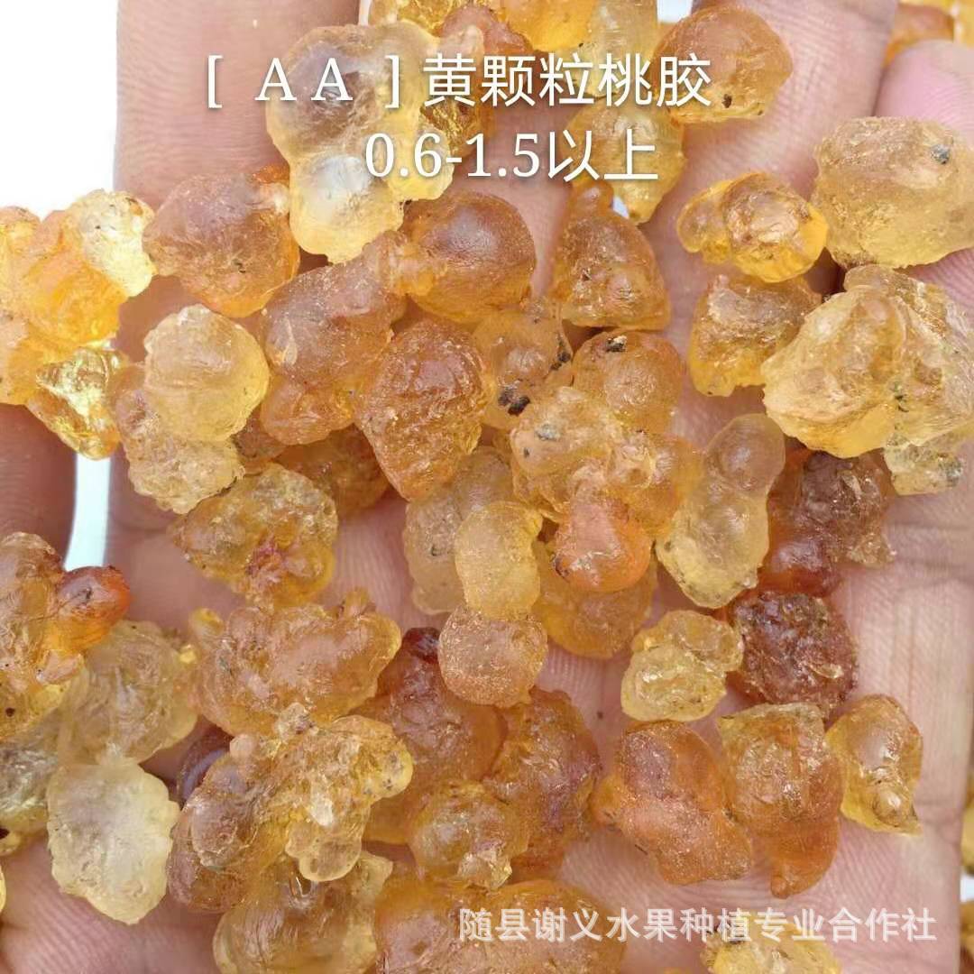 桃胶金黄颗粒桃胶 [AA ]统货湖北产地一手货源大量现货批发散装