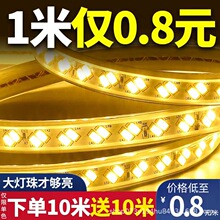 客厅5730高亮双排高压led灯条批发室内户外2835三色光防水led灯带