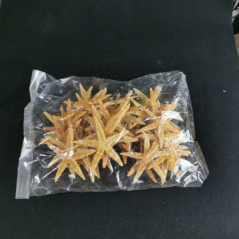 Qionghai Fuhai/DIY мини Малый Bian морская звезда точечный товар ракушка конх краситель для аквариума декор домашний декор
