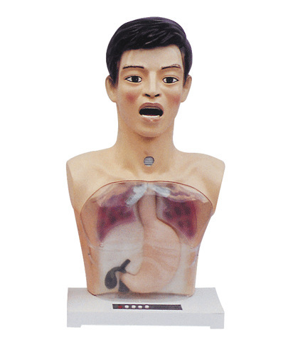 ����ʾ͸��ϴθ����ģ��/ϴθ��ϰģ��/������������ģ����