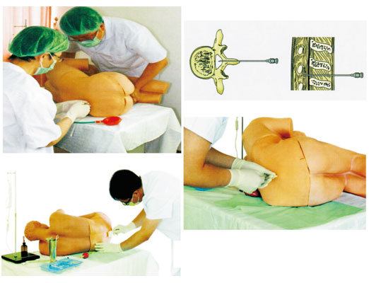 ����ֱ�� ��׵�����ۺ�ѵ��ģ����������ѵ��ģ����