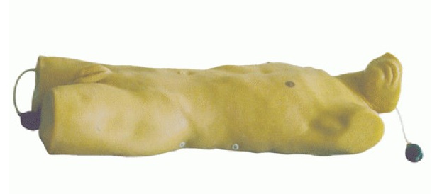 ��ǻ��ʽ������ѵ��ģ�� ҽѧ�̾� ����ģ�� ��ѧģ��