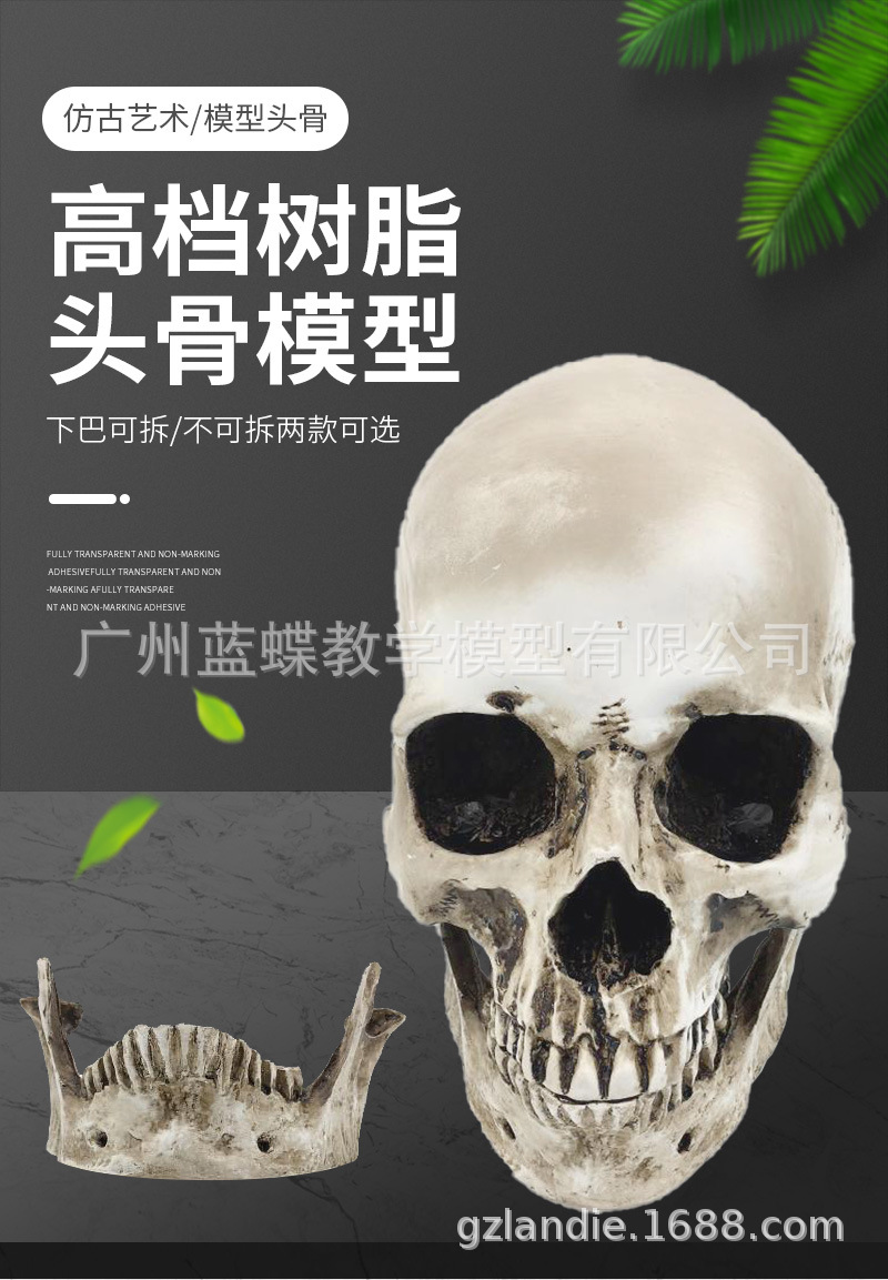 ��֬����ͷ����滭��ͷ���������弡���������ͷ­ͷ��ģ������