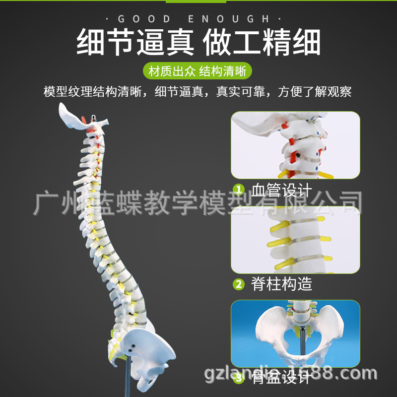 45CM弹׵ģ ģ ׵׵׵ β׵ ʽ