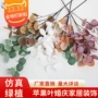 仿真婚庆植物桉树叶尤加利
