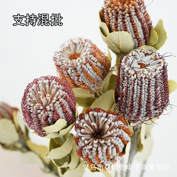[Corn Pagoda] Imported Dried Flowers Light Luxury Home Hotel Cafe Shop Window ins Model Room Decoration