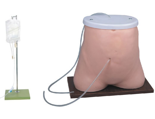 ��Ĥ͸��ģ�� ���帹Ĥ͸��ģ���� ����ģ�� ��ѧ��ѵר����