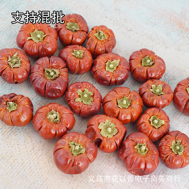 Halloween Pumpkin Dried Flowers Brazil Imported Natural Plants Christmas Holiday Dress Dried Fruit Home Decoration