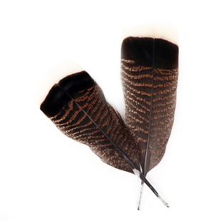 �S�����l�����u��Ƭ20-25cm��̨�l���ë����o�ϼy·��ë�P