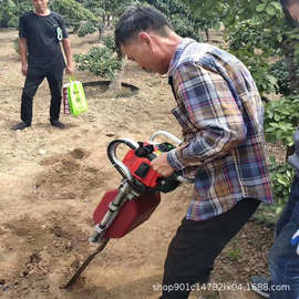 大马力果树移栽机 带土球幼苗移植机 轻型茶园移苗铲树机曲阜现货